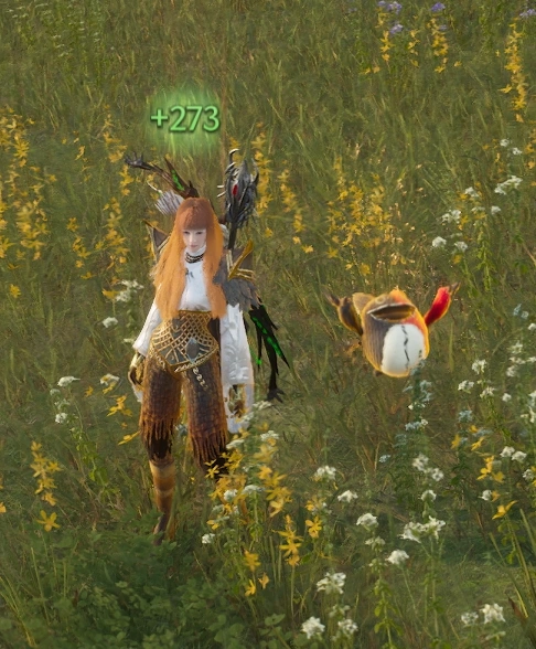 Amitoi heals